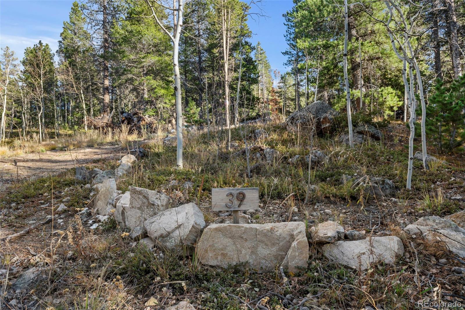 0 Severance Lodge Road Black Hawk, CO 80422 - Photo 7 of 15
