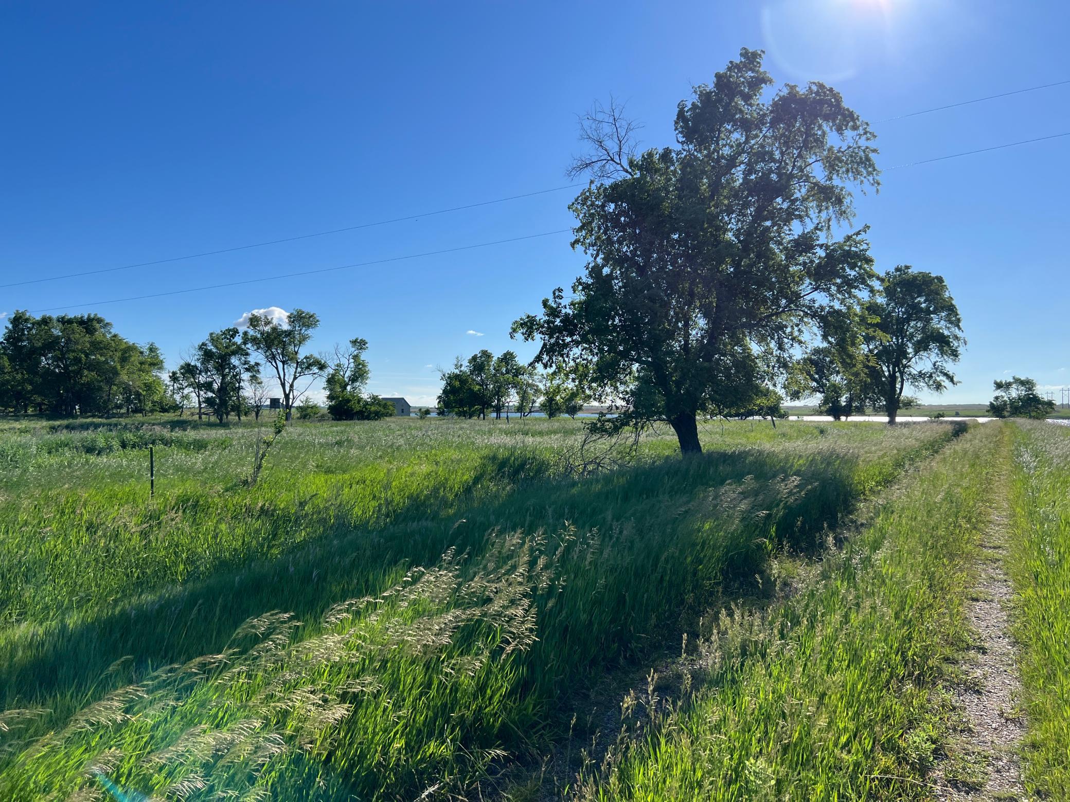 Tbd Southeast Tbd Se 90th Street Rutland, ND 58067 - Photo 39 of 105