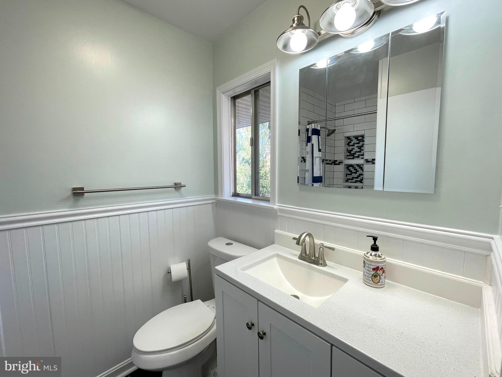9457 Boyds Turn Road Owings, MD 20736 - Photo 24 of 46 a bathroom with a toilet a sink a light fixture and mirror