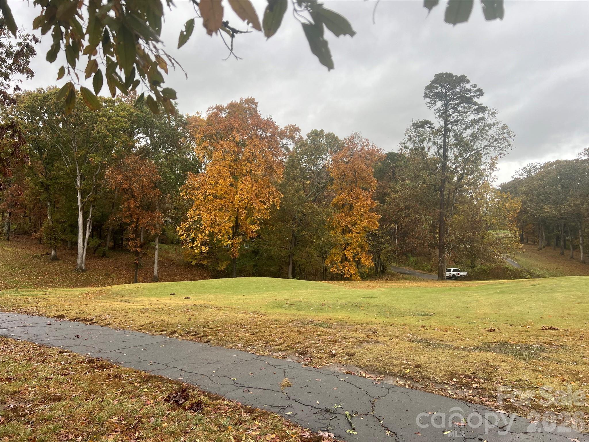 243 Governors View Road Asheville, NC 28805 - Photo 10 of 35 Gallery Image 10