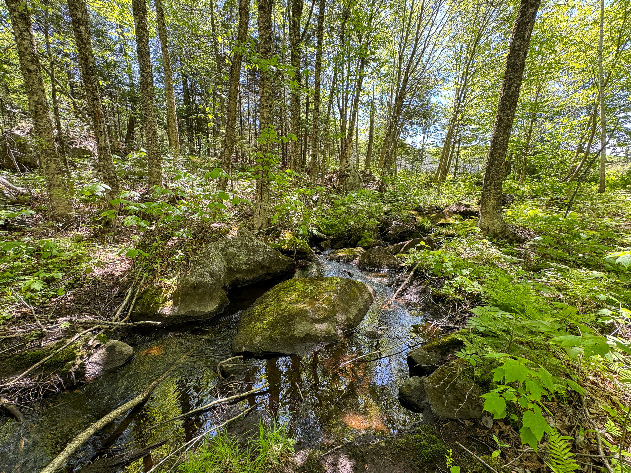 Lot 10 Morrison Brook, Unit ACRES Oakfield, ME 04763 - Photo 4 of 11