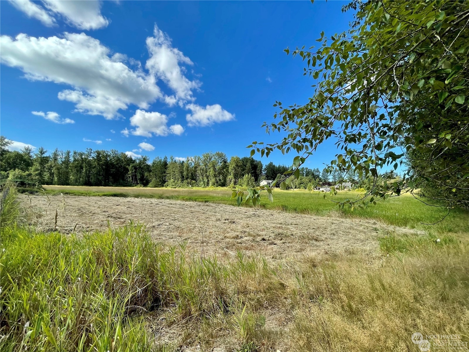 2571 East Smith Road Bellingham, WA 98226 - Photo 8 of 10