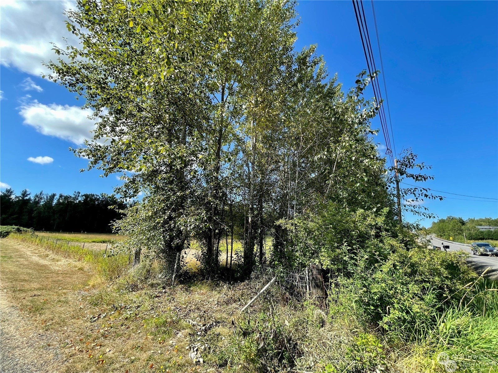 2571 East Smith Road Bellingham, WA 98226 - Photo 9 of 10