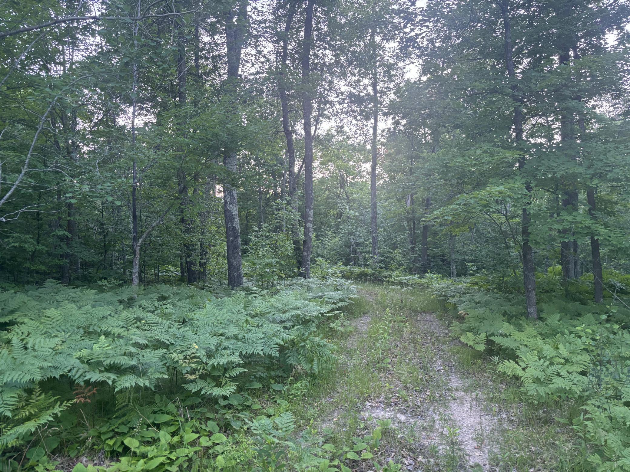 39987 Cass Line Road Laporte, MN 56461 - Photo 13 of 14
