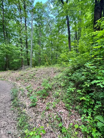 $119,000 | Sunset Lane, Unit 4, Seymour, TN 37865