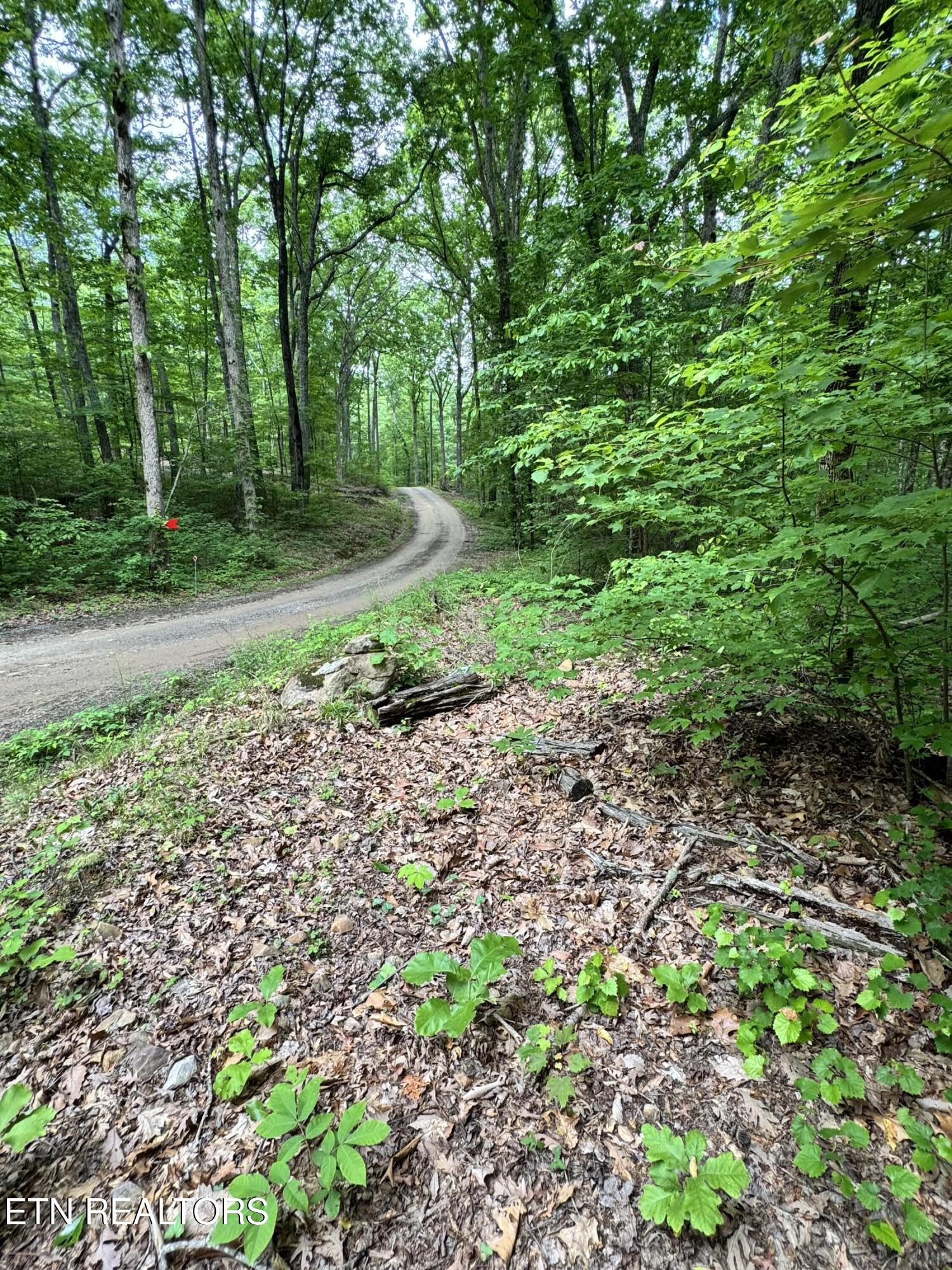 Sunset Lane, Unit 4 Seymour, TN 37865 - Photo 5 of 11 IMG_4914