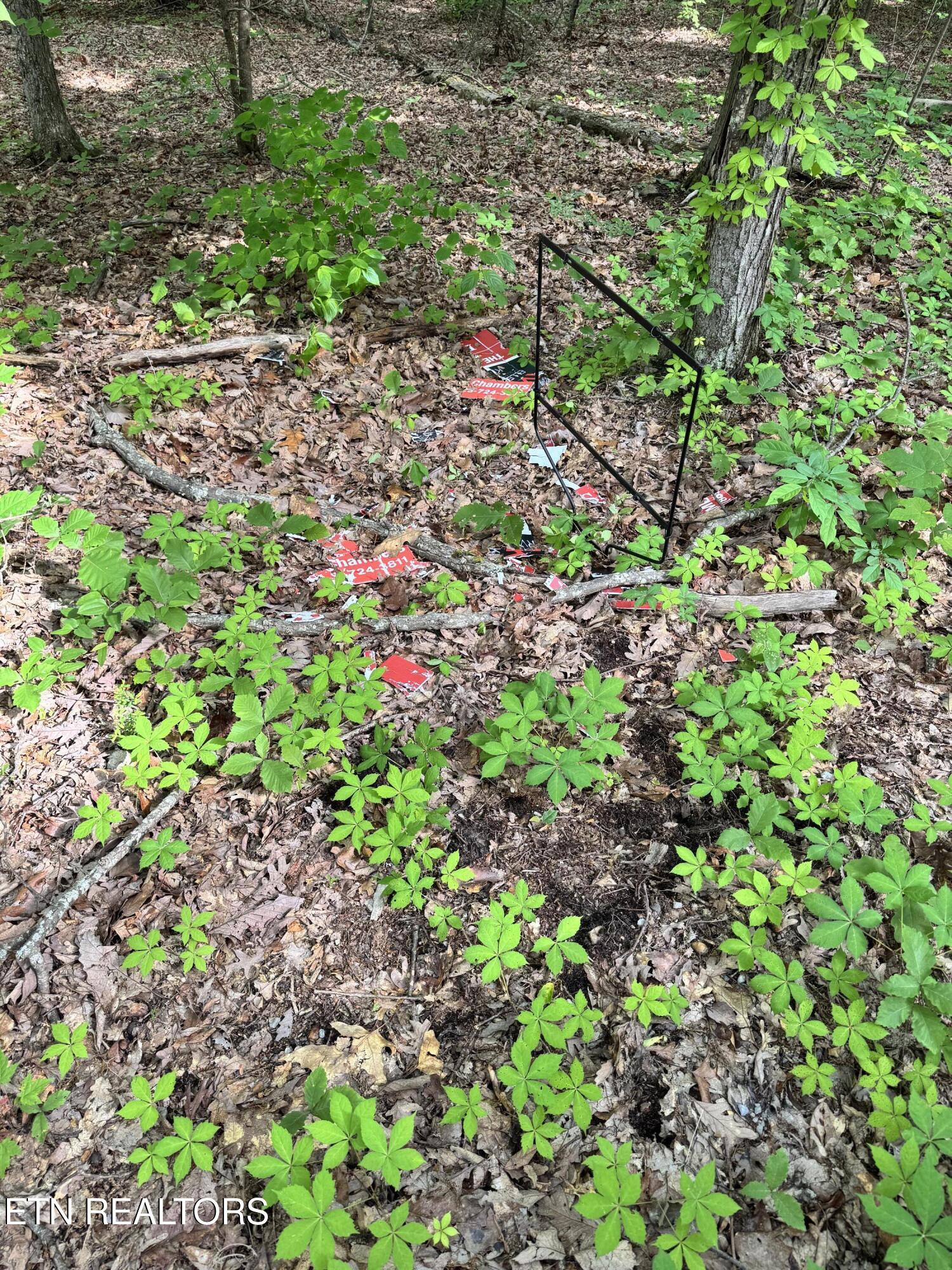 Sunset Lane, Unit 4 Seymour, TN 37865 - Photo 8 of 11 IMG_4918