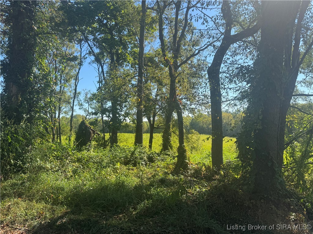 7000 South State Rd 39 Crothersville, IN 47229 - Photo 2 of 3