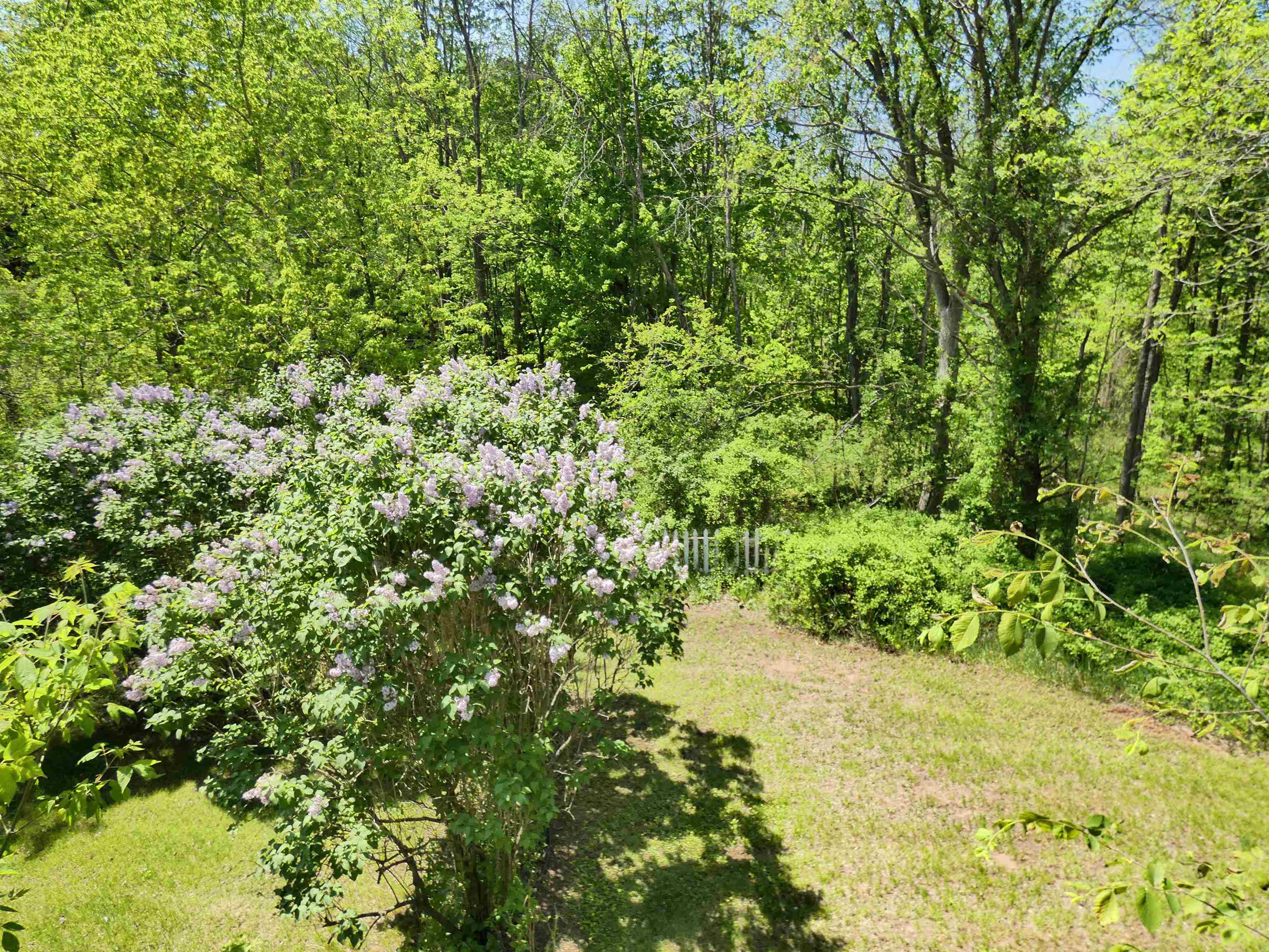 455 Bialozynski Road Pulaski, WI 54162 - Photo 14 of 54