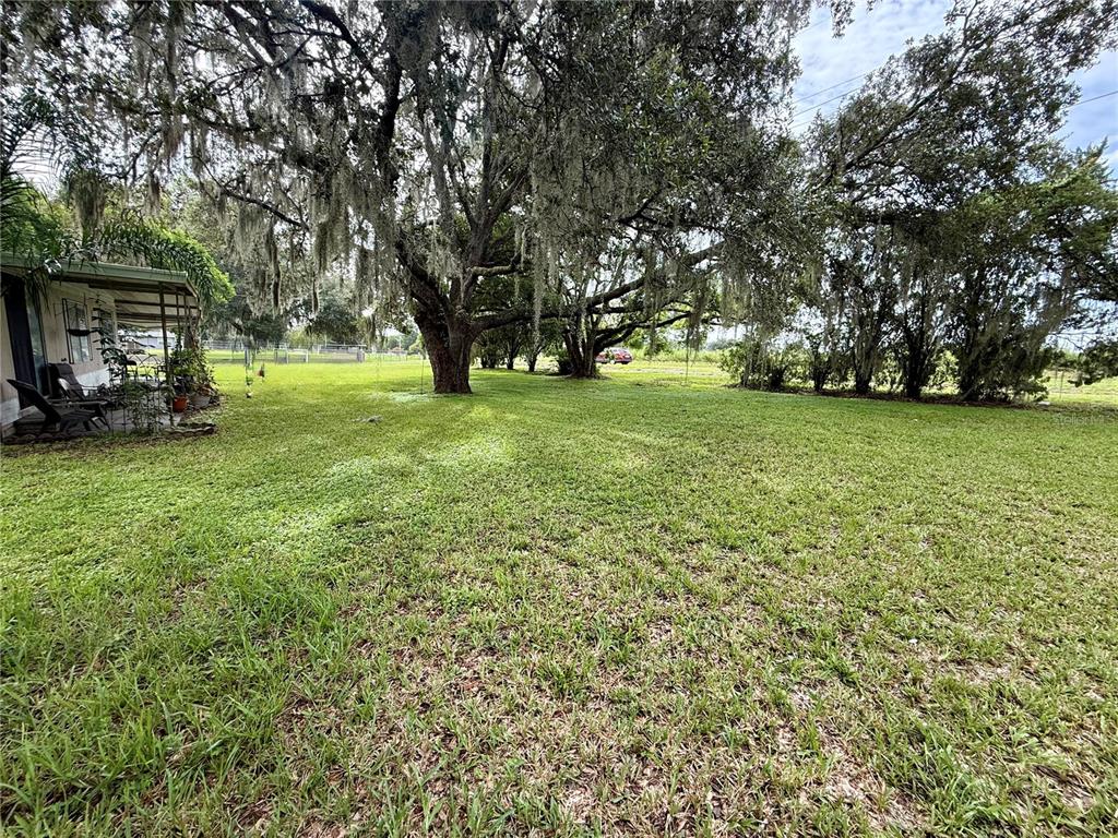 39605 Otis Allen Road Zephyrhills, FL 33540 - Photo 7 of 14 Gallery Image 7