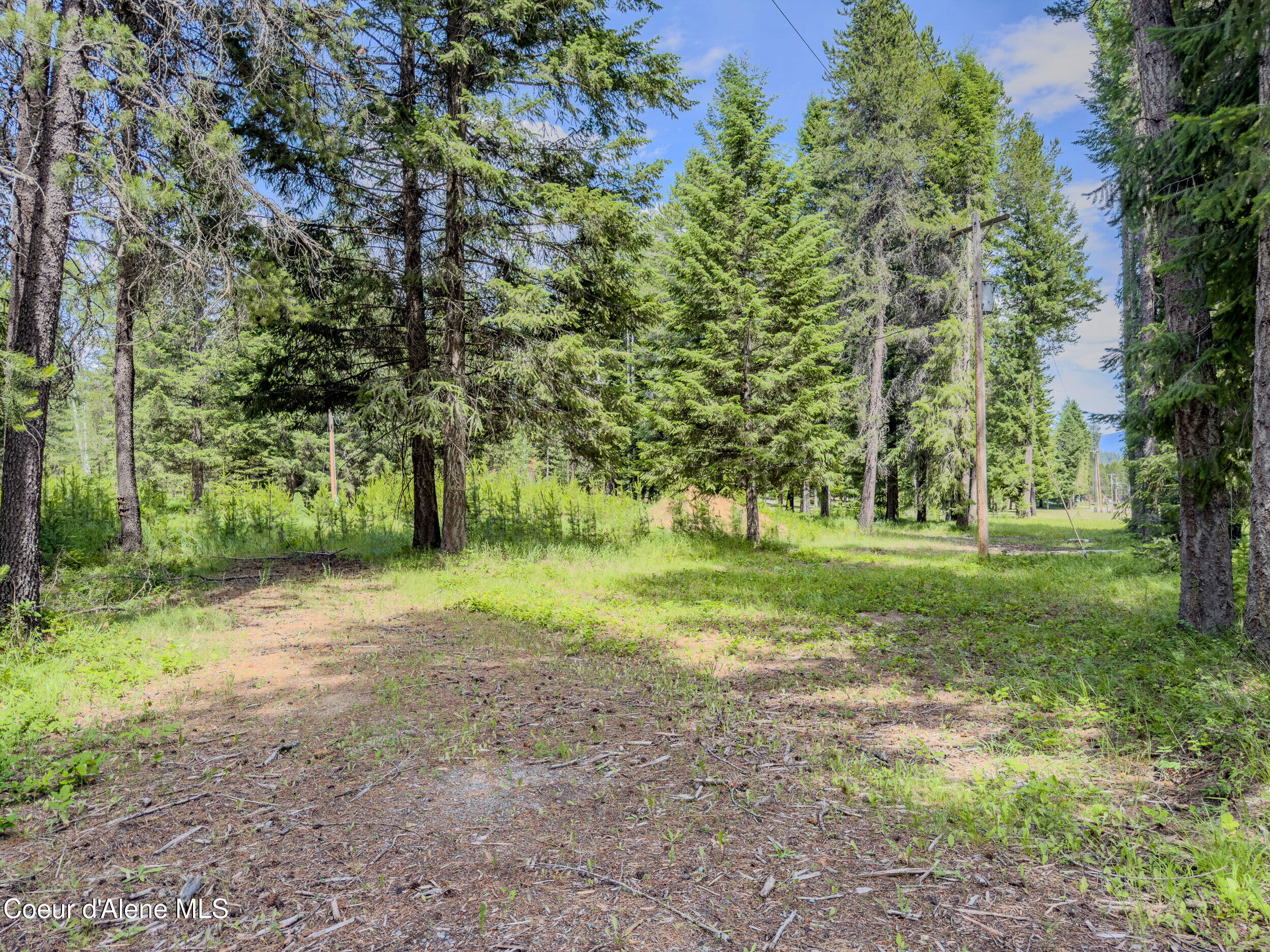 321 Winterton Road Sandpoint, ID 83864 - Photo 3 of 24 18_img_4803