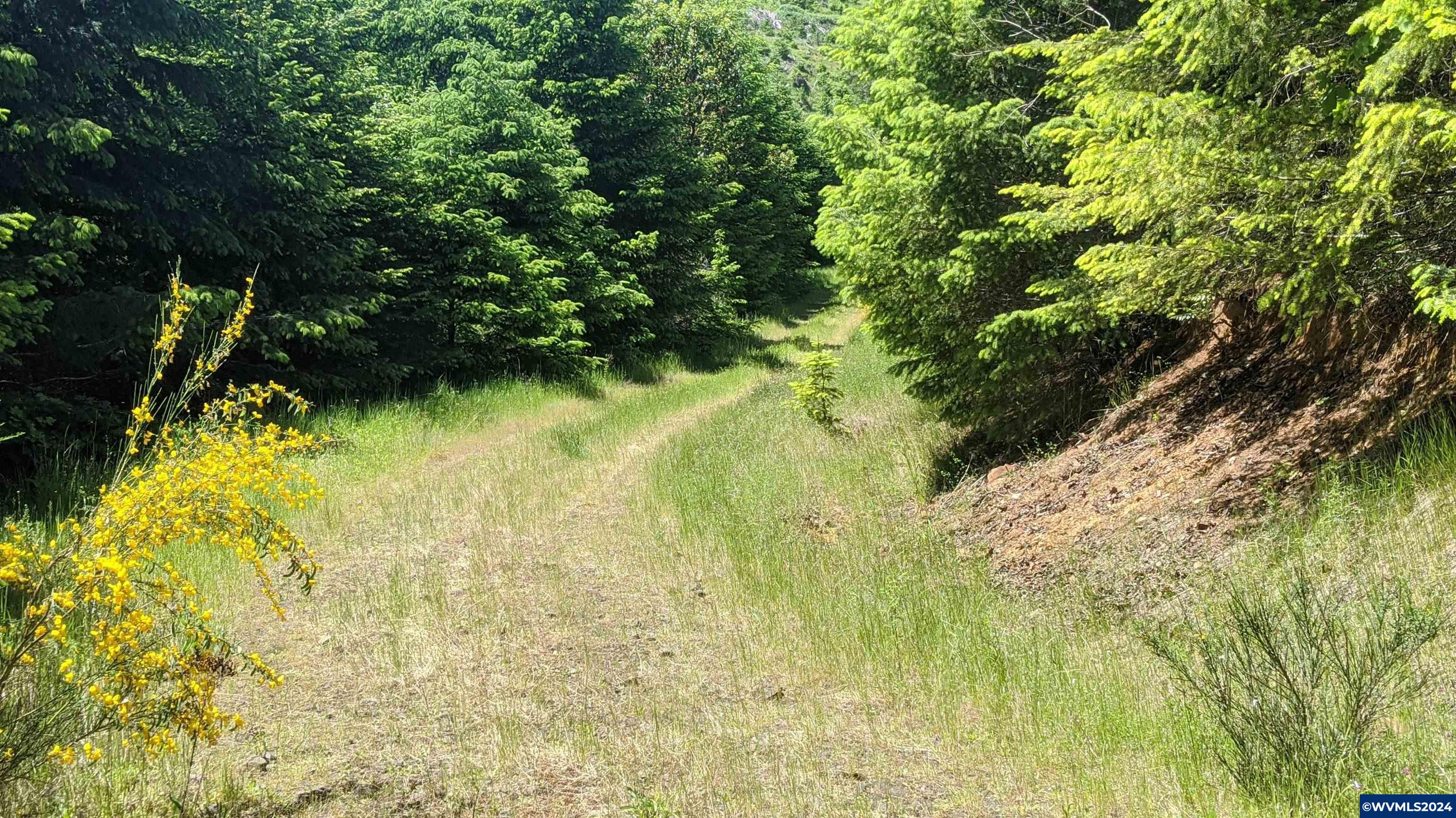 Northwest Timmerman Road Forest Grove, OR 97116 - Photo 8 of 12