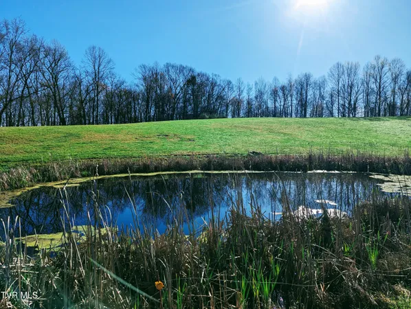 $500,000 | Tbd Lockhart Flats Loop, Clintwood, VA 24228