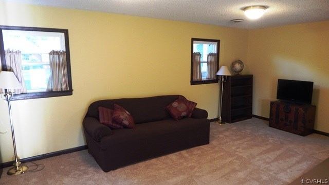 102 Beverly Road Ashland, VA 23005 - Photo 17 of 24 Gallery Image 17