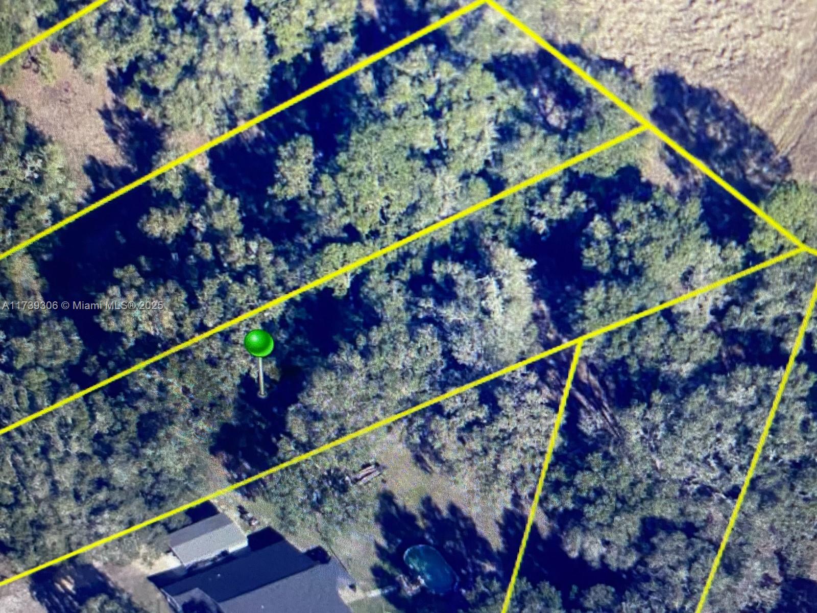 Norman Street Webster, FL 33597 - Photo 1 of 1
