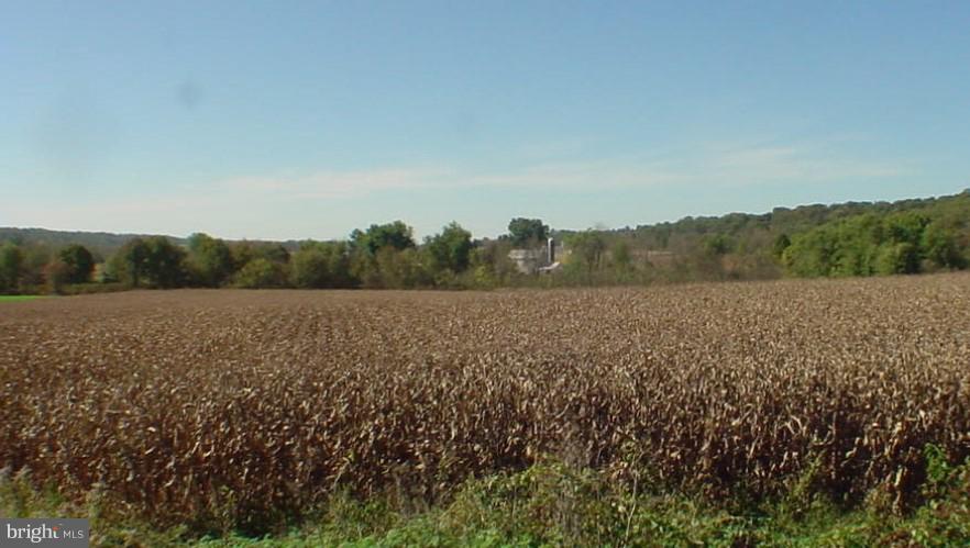 Lot 1 Ridge Avenue Atglen, PA 19310 - Photo 3 of 4