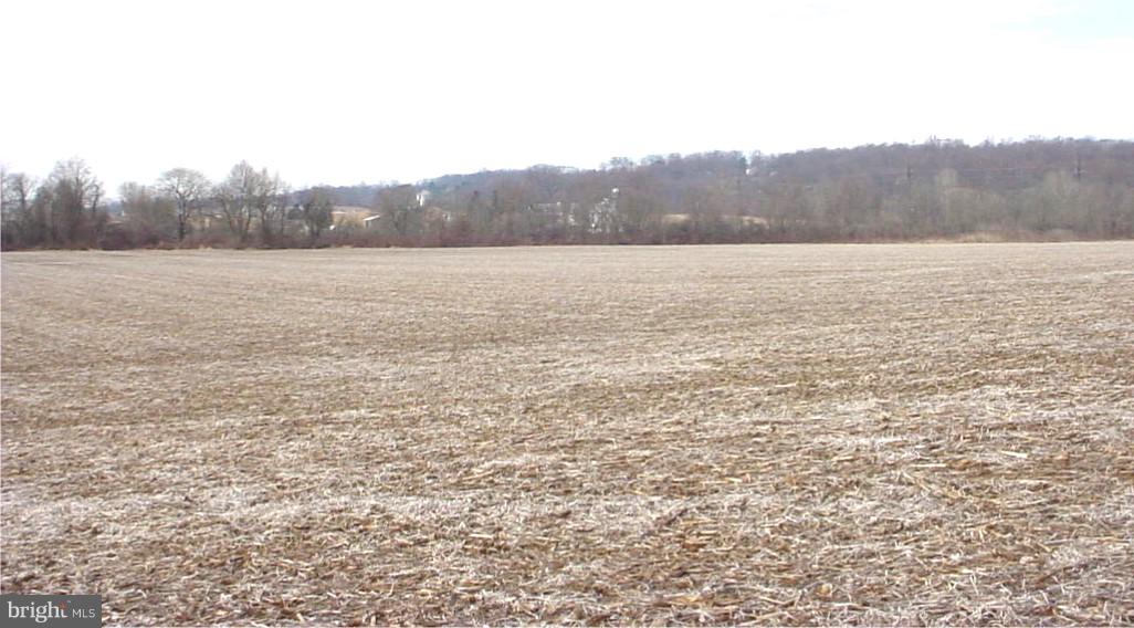 Lot 1 Ridge Avenue Atglen, PA 19310 - Photo 4 of 4