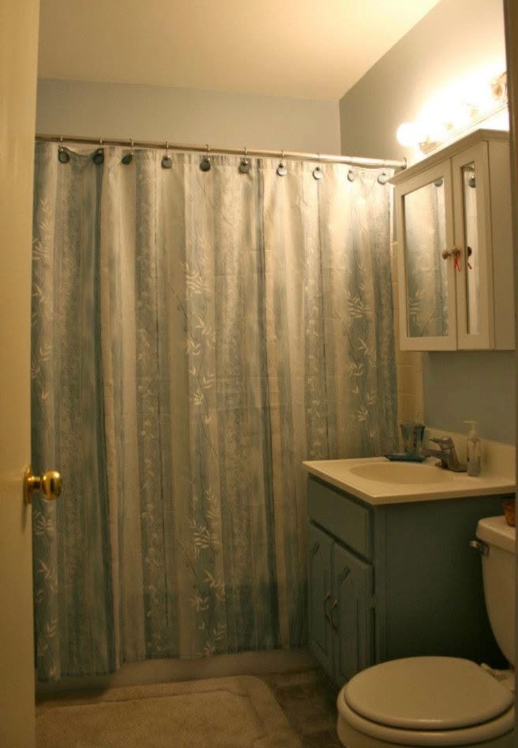 1075 Knoll Lane, Unit 302 Hoffman Estates, IL 60169 - Photo 10 of 11 a bathroom with a sink a toilet a mirror and shower curtain