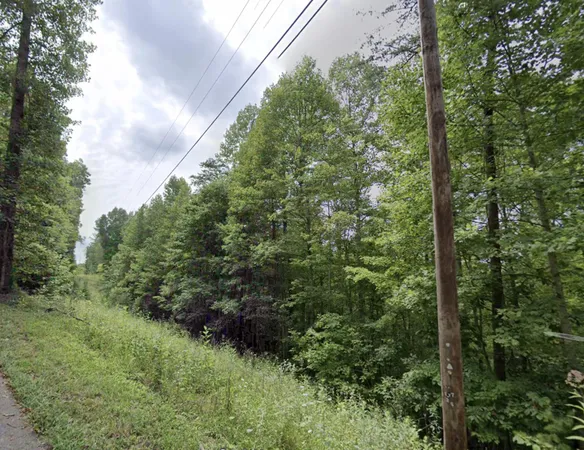 $89,900 | 0 Hazel Patch Road, East Bernstadt, KY 40729