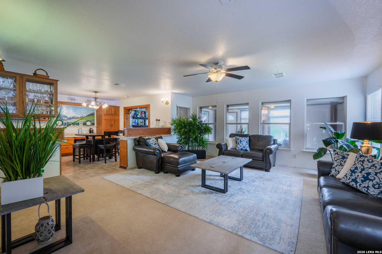 124 Springtree Grove Cibolo, TX 78108 - Photo 15 of 52 a living room with furniture potted plant and a window