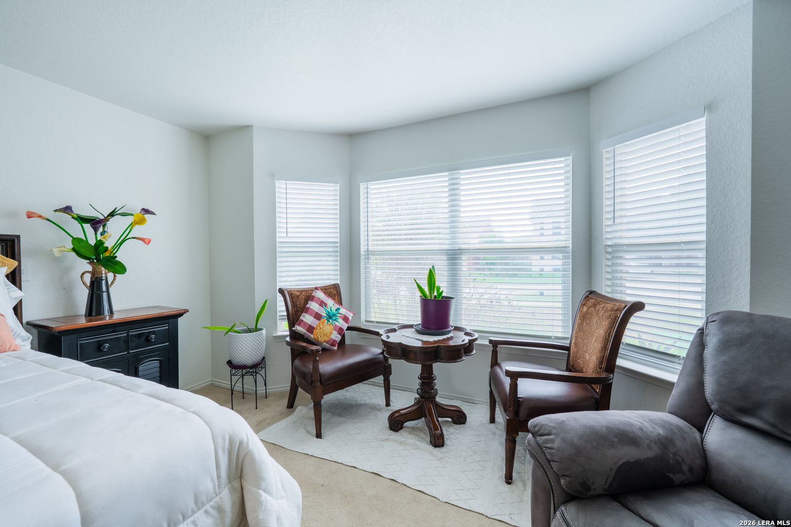 124 Springtree Grove Cibolo, TX 78108 - Photo 17 of 52 a living room with furniture and a potted plant