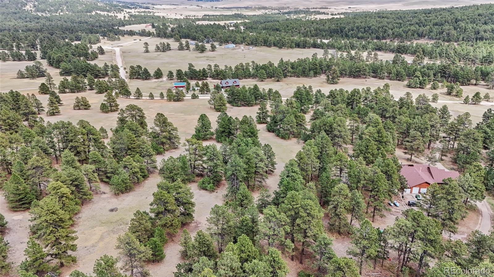 8653 North Teacup Road Elbert, CO 80106 - Photo 12 of 19 an aerial view of residential building with outdoor space and lake view
