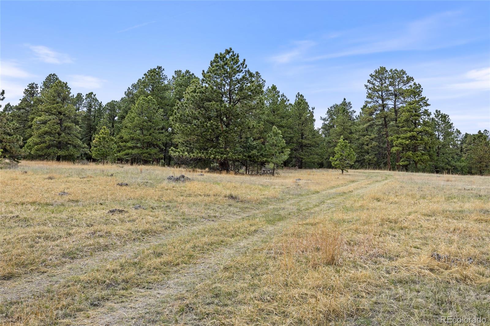 8653 North Teacup Road Elbert, CO 80106 - Photo 7 of 19 a view of a yard covered with snow in the background