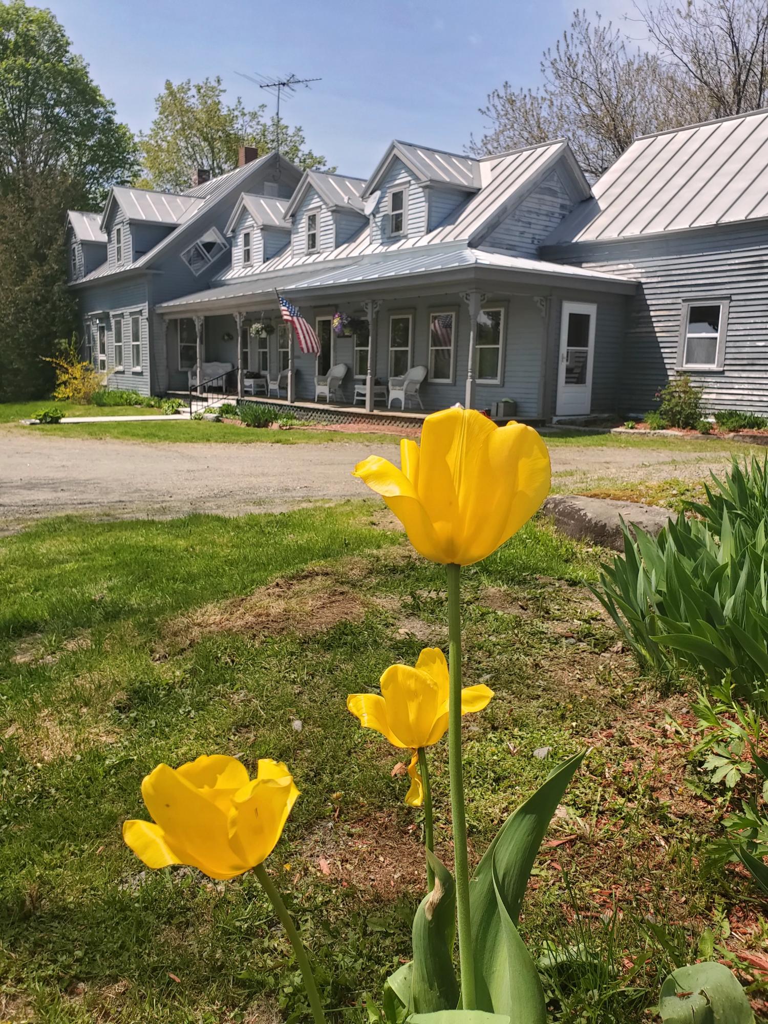 1839 East Ridge Road Athens, ME 04912 - Photo 8 of 49 20190525_135526