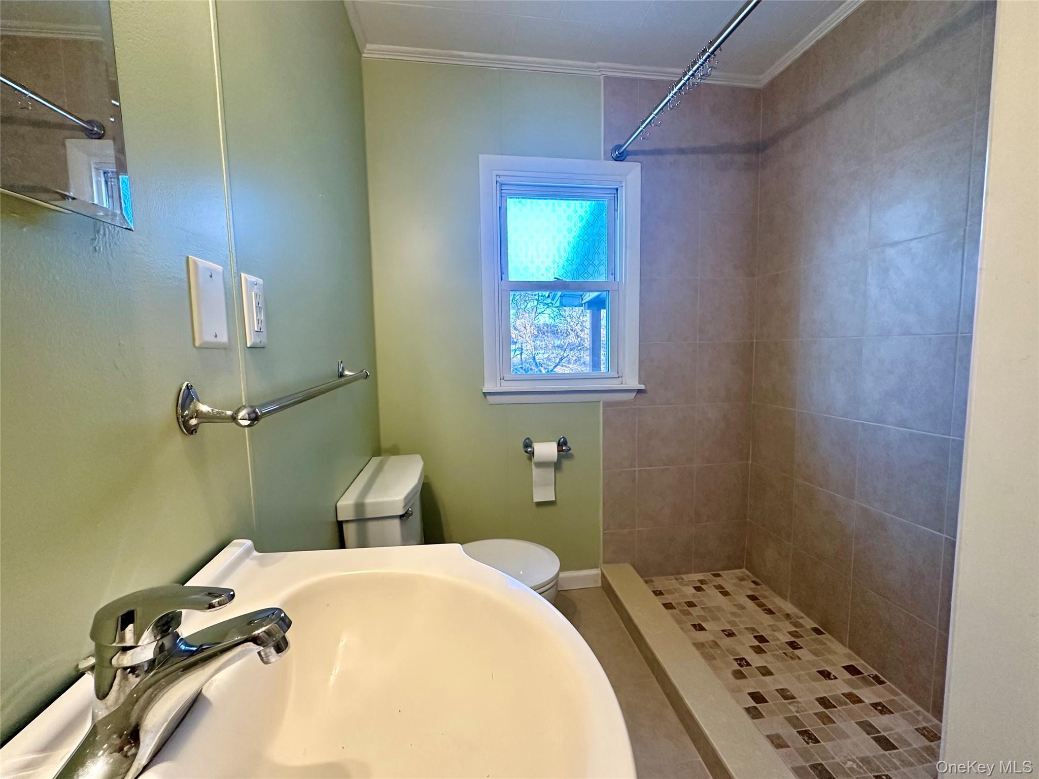 111 Round Hill Road Florida, NY 10921 - Photo 12 of 14 a bathroom with a sink and a toilet