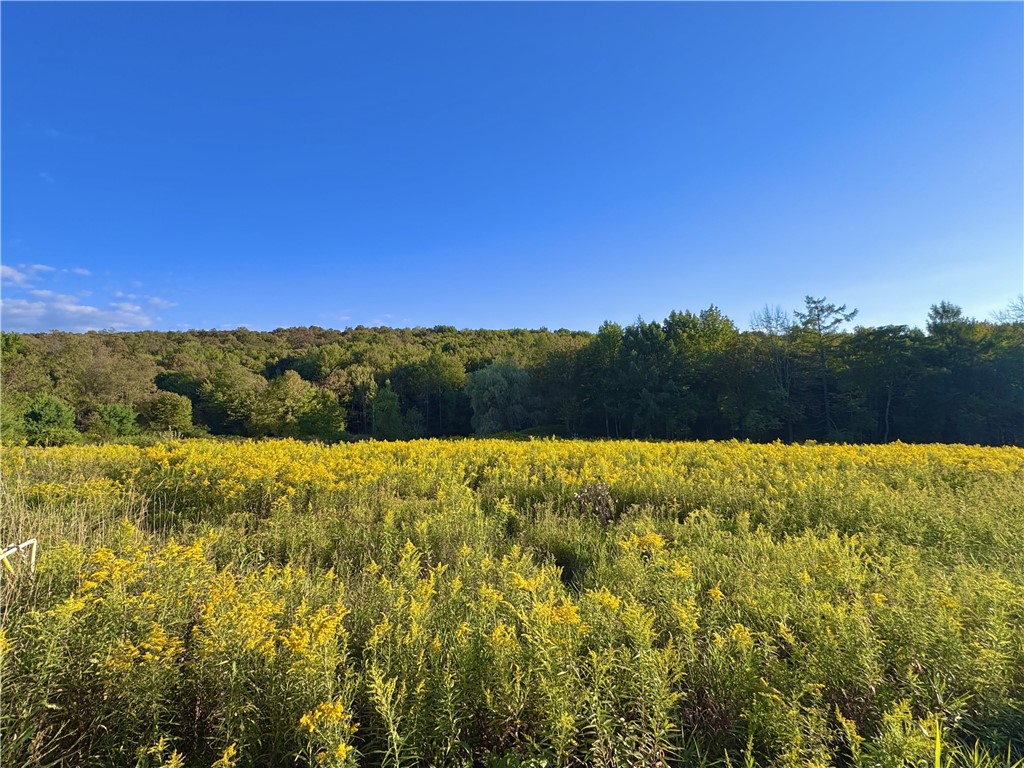 0 Campbell Road Franklin, NY 13775 - Photo 1 of 1