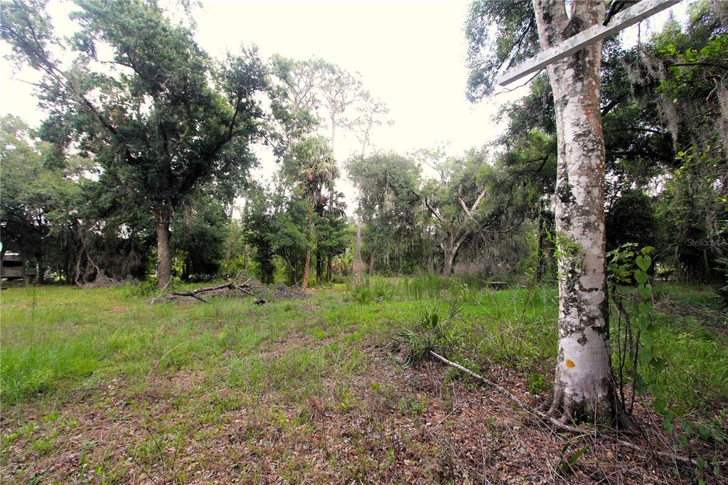38319 County Line Road Zephyrhills, FL 33540 - Photo 5 of 8 Gallery Image 5