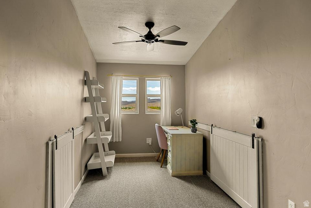225 Falcon Court Ivins, UT 84738 - Photo 20 of 47 Home office featuring light colored carpet, a textured ceiling, ceiling fan, and a textured wall