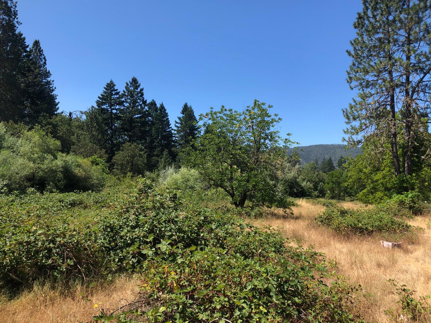 190 Finch Road Kerby, OR 97531 - Photo 12 of 15 Additional Photo