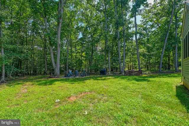 a view of a grassy field with trees in the background