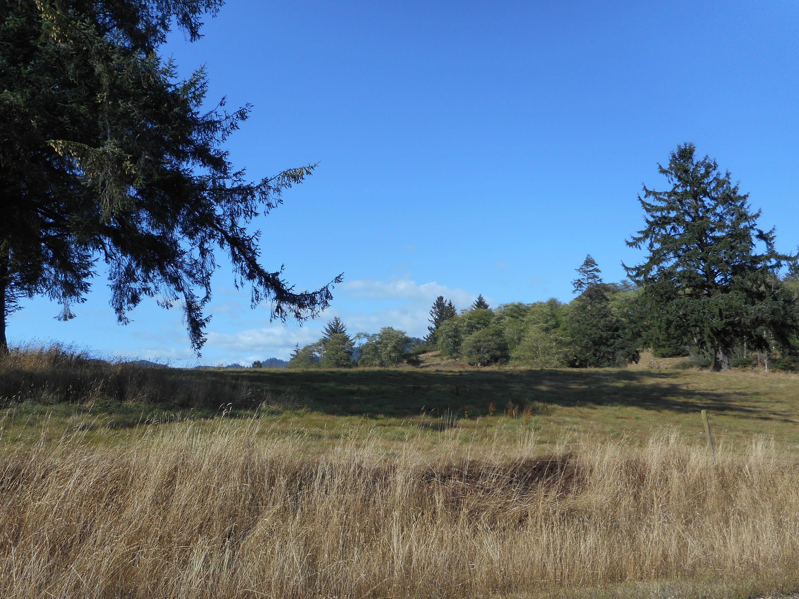 Edelwyss Road Tillamook, OR 97141 - Photo 7 of 7 DSCN2966
