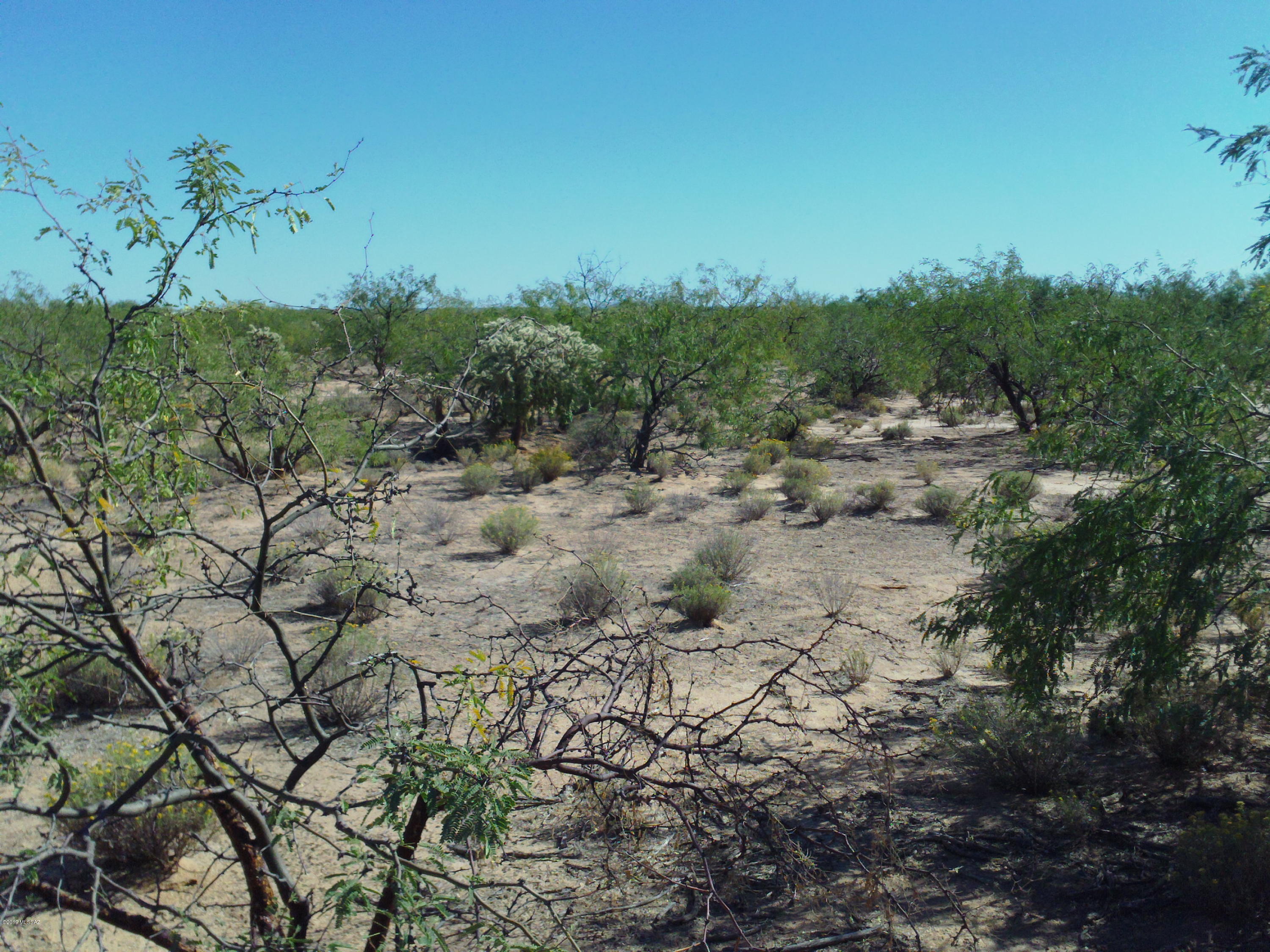 South Marstellar Road, Unit M Tucson, AZ 85736 - Photo 2 of 15 Gallery Image 2