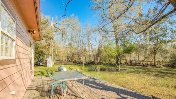 a big room with yard and a large tree