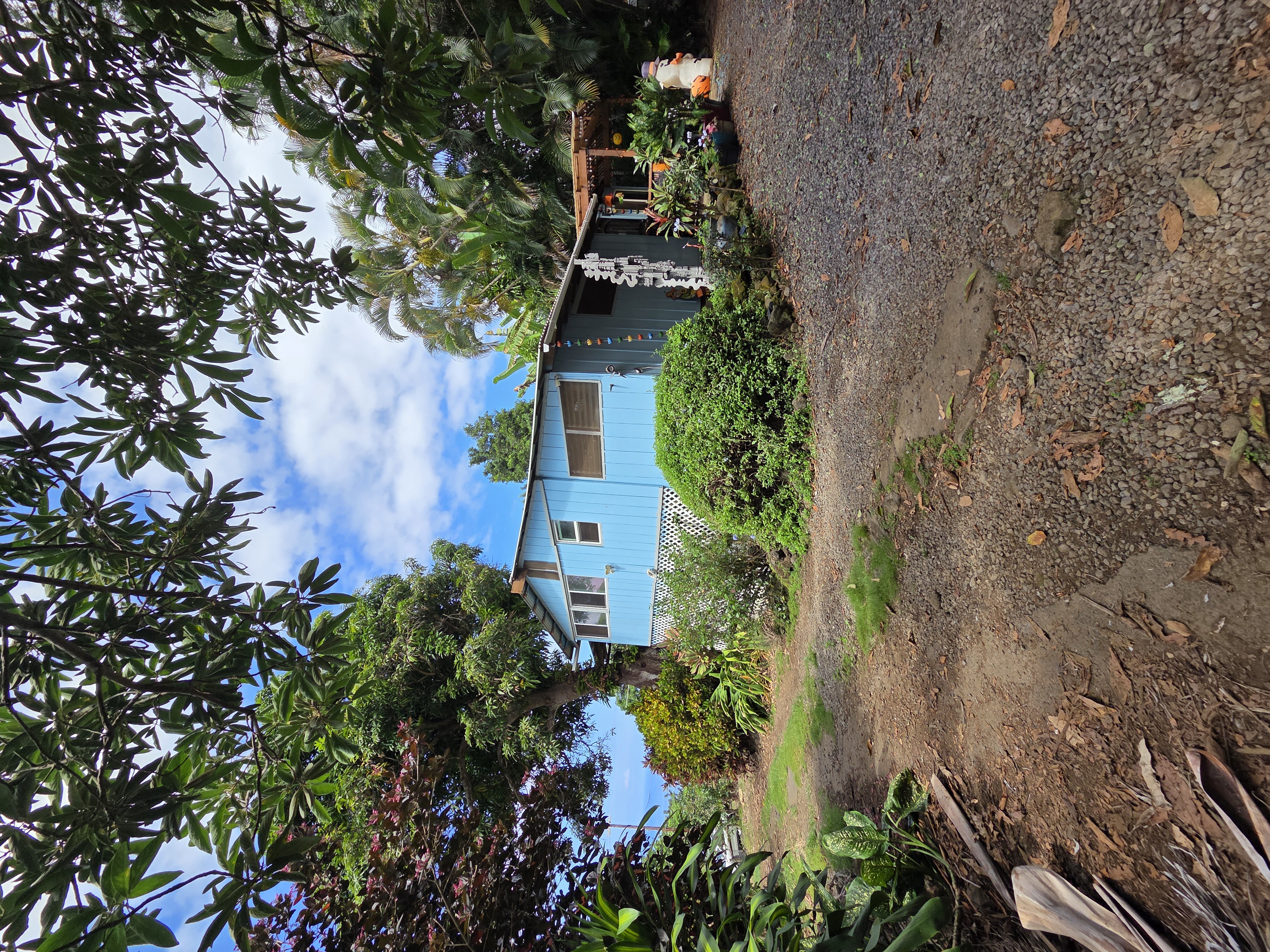 a view of a house with a tree in the background