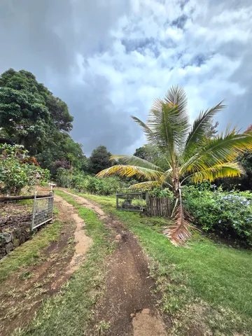 a view of backyard with green space