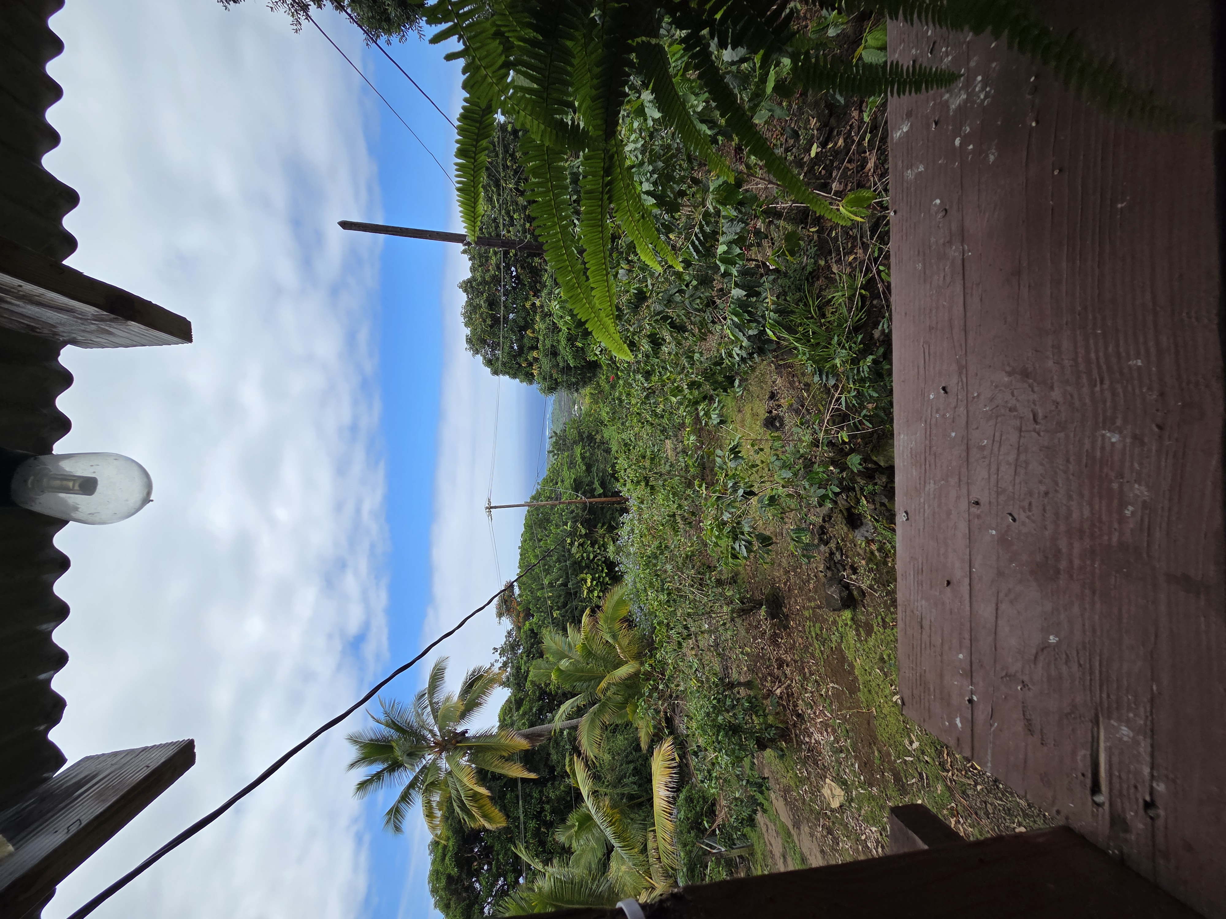 83-5782 Napoopoo Road Captain Cook, HI 96704 - Photo 29 of 30 a backyard of a house with lots of green space