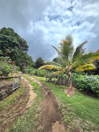 a view of backyard with green space