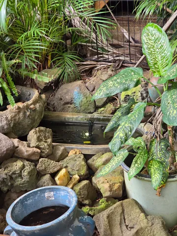 a view of a chair and table in the patio