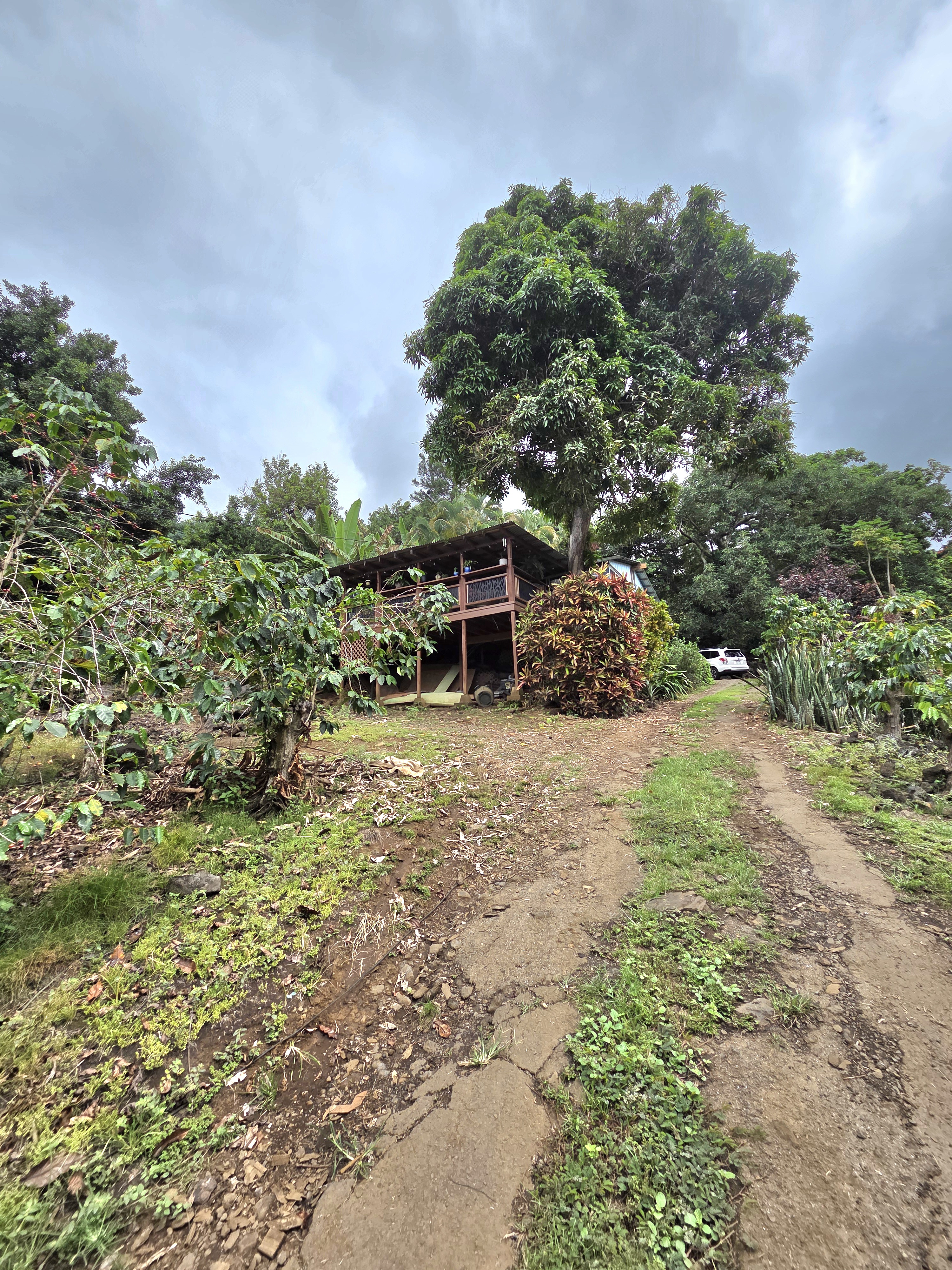 83-5782 Napoopoo Road Captain Cook, HI 96704 - Photo 5 of 30