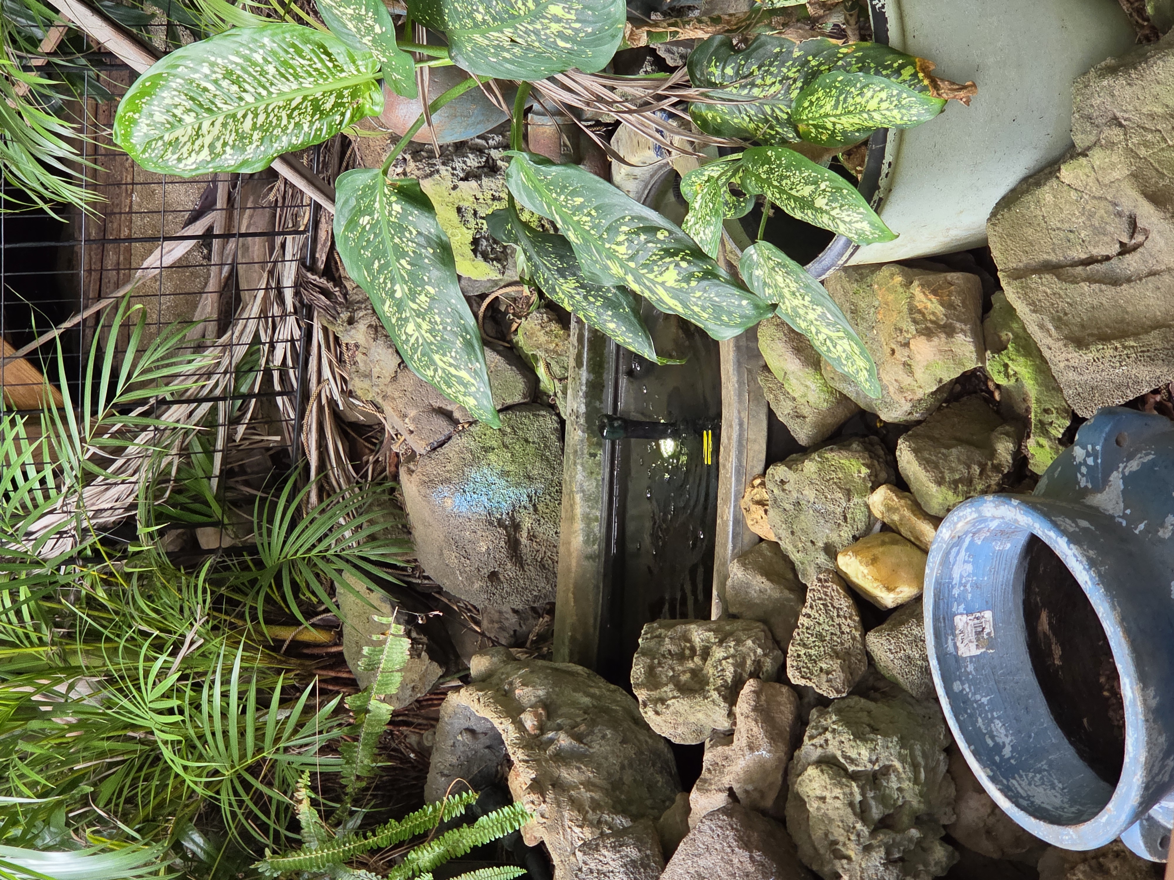 83-5782 Napoopoo Road Captain Cook, HI 96704 - Photo 7 of 30 a view of an outdoor sitting area