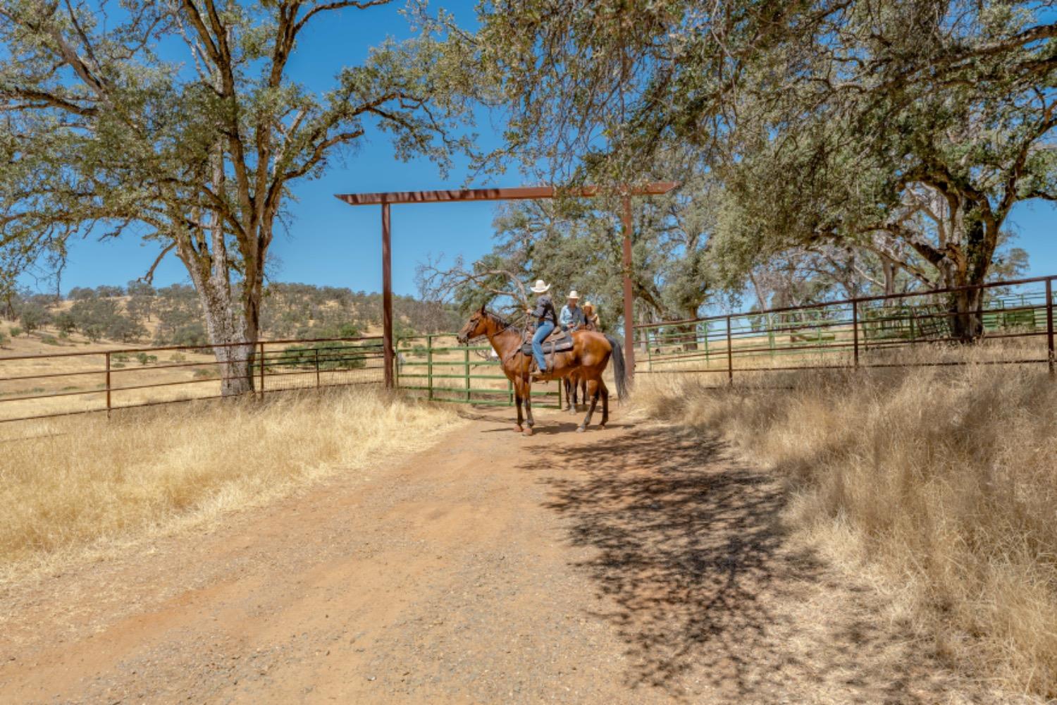 27044 McCourtney Road Grass Valley, CA 95949 - Photo 65 of 74