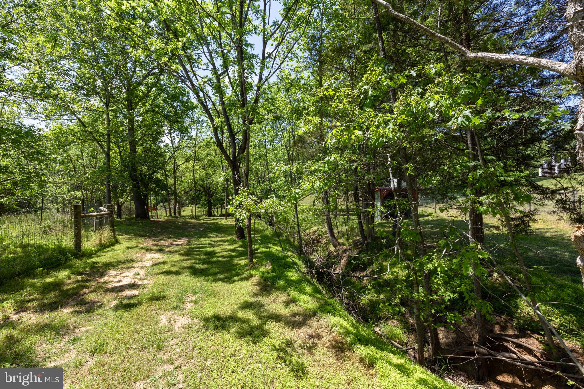 4253 South Blue Ridge Turnpike Rochelle, VA 22738 - Photo 56 of 70