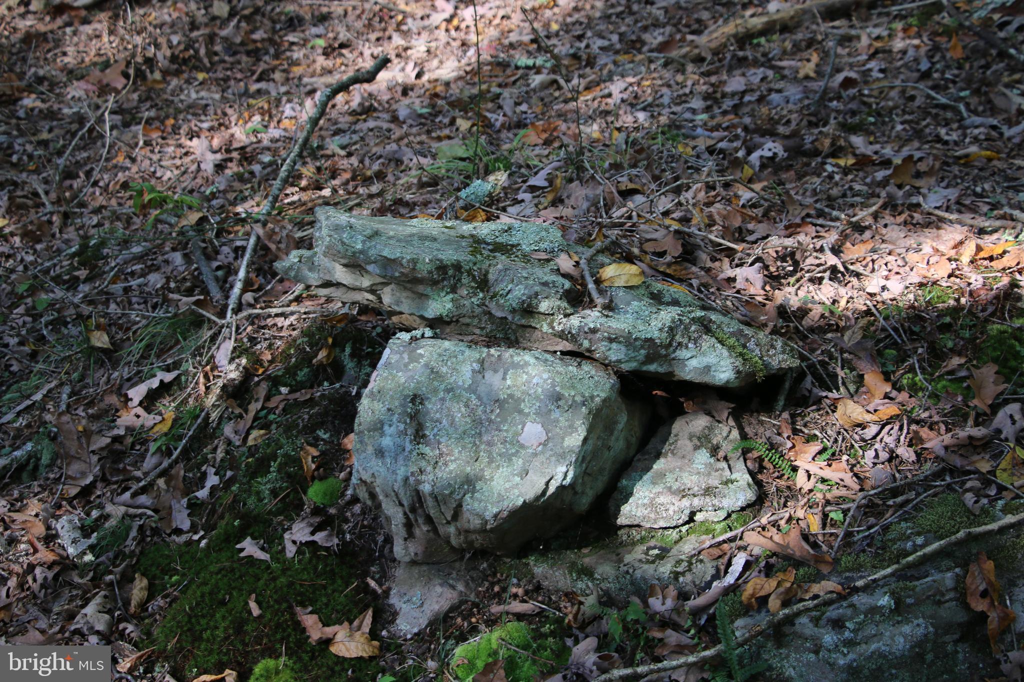Pack Horse Road Winchester, VA 22603 - Photo 14 of 32 Gallery Image 14