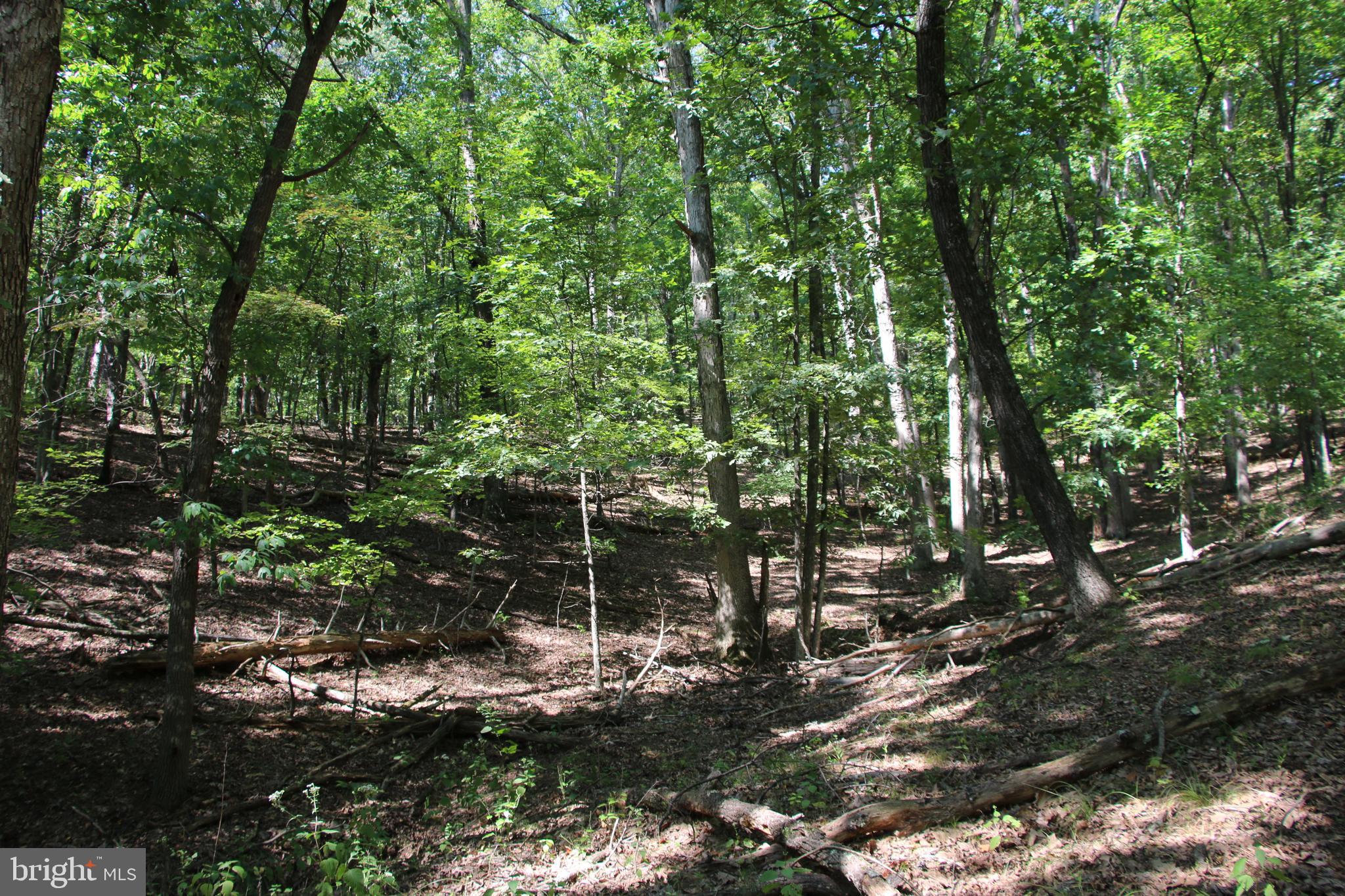 Pack Horse Road Winchester, VA 22603 - Photo 27 of 32 Gallery Image 27