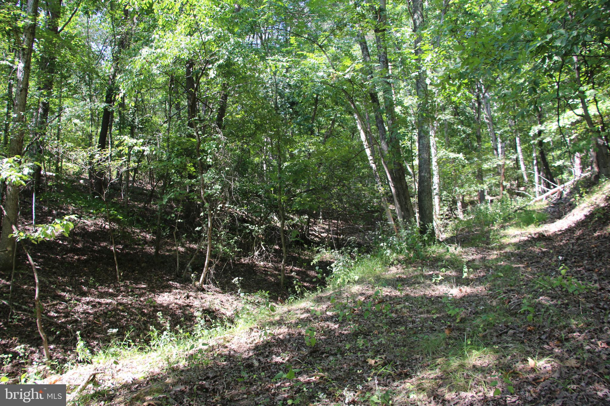 Pack Horse Road Winchester, VA 22603 - Photo 28 of 32 Gallery Image 28