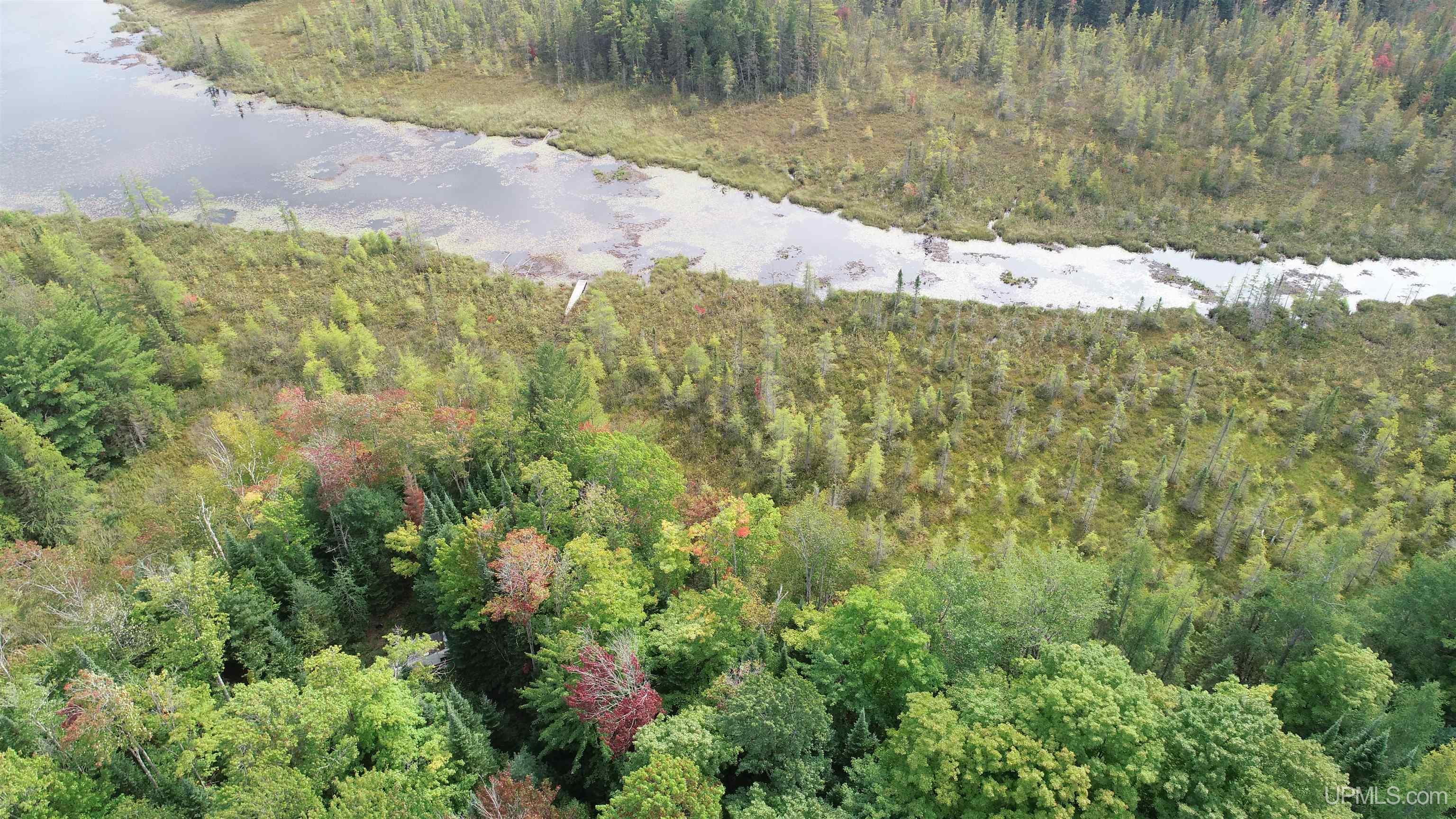 Tbd North Tbd N Powerline Road Germfask, MI 49836 - Photo 19 of 29